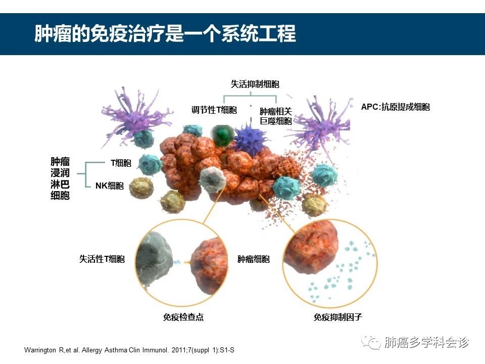 三问肿瘤治疗-新华网(图1)